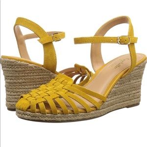 Seychelles wedge pump
